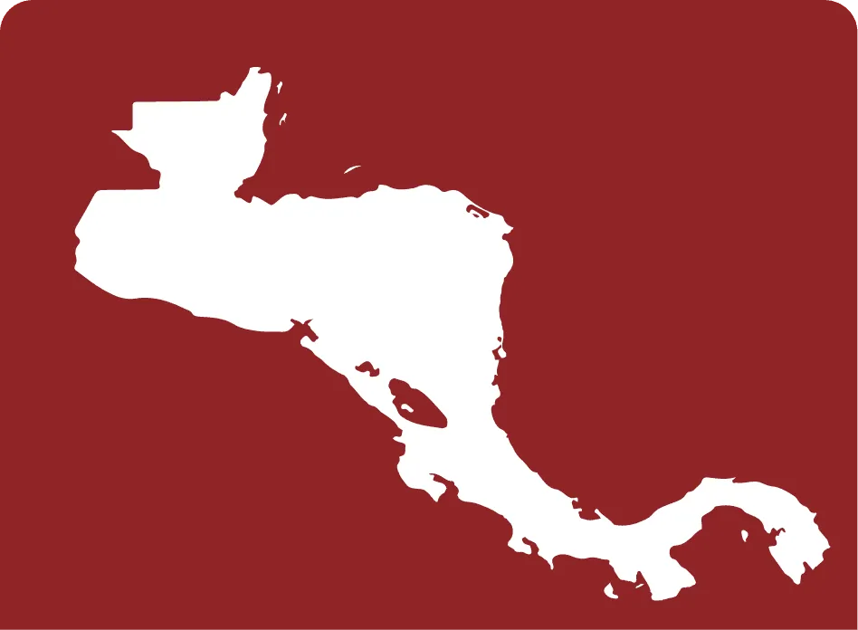 2007